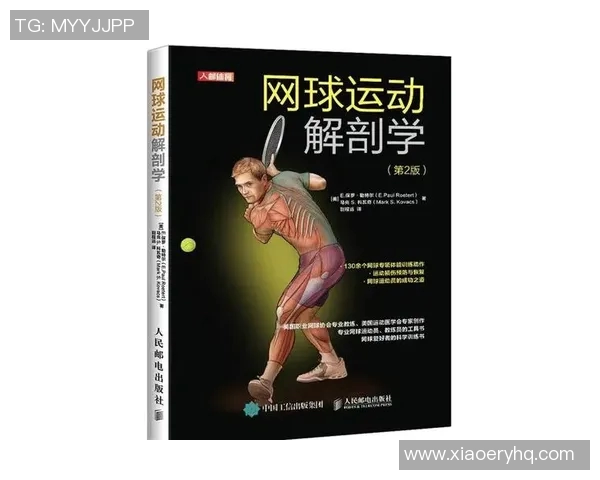 网球新手必看:全面入门技巧与配合训练指南助你快速提升水平 网球新手必看:全面入门技巧与配合训练指南助你快速提升水平