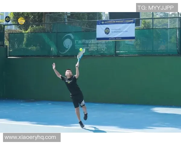 广州网球队的管理模式与发展策略深度解析