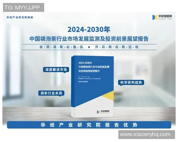 广州排球队实力分析与未来发展潜力的深度探讨 广州排球队实力分析与未来发展潜力的深度探讨