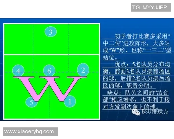 排球深度解析：西安排球队进攻策略与战术的全景剖析