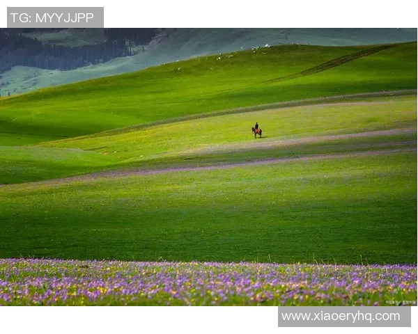 琼斯的传奇人生与不屈精神探索在逆境中绽放的光芒与希望