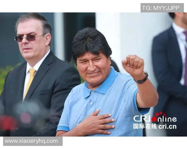 赖斯的崛起与挑战：探讨其在国际政治中的影响力与未来发展方向