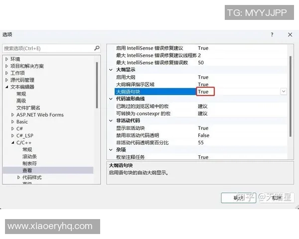 解决VS2019卡住97问题的有效方法与技巧分享