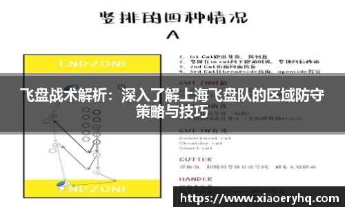 飞盘战术解析：深入了解上海飞盘队的区域防守策略与技巧