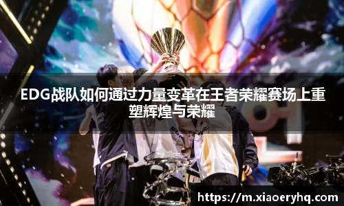 DB电竞官网