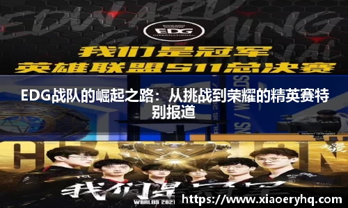 DB旗舰官网