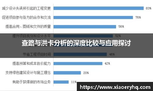 查路与洪卡分析的深度比较与应用探讨