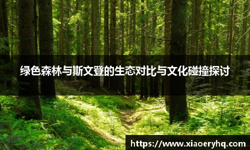 Db旗舰app